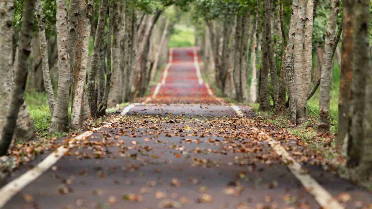 Dark5 (dark5) Farcaster social identity (Fname handle) PFP