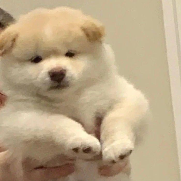 一起助力(互) pfp
