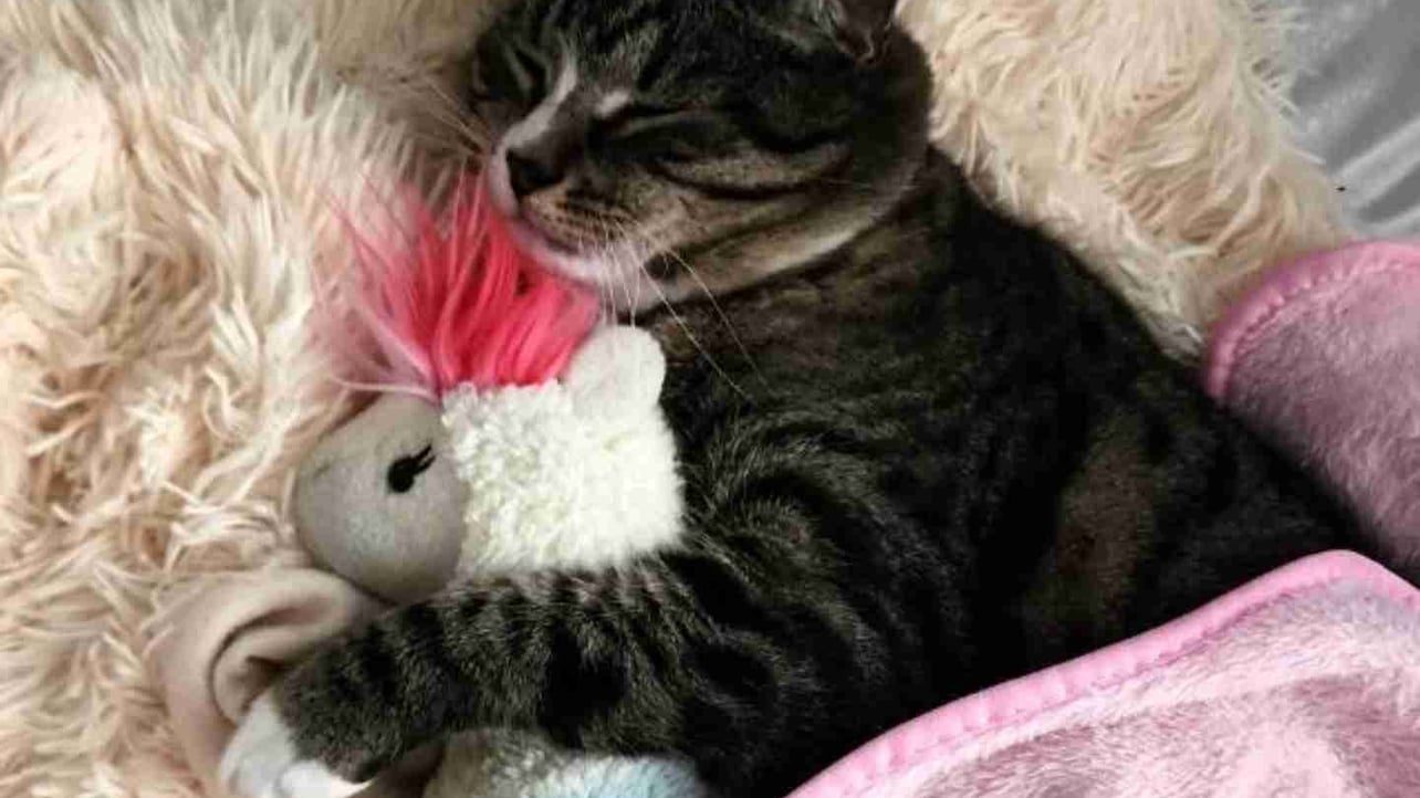 HolyWave (holywave) Farcaster social identity (Fname handle) PFP