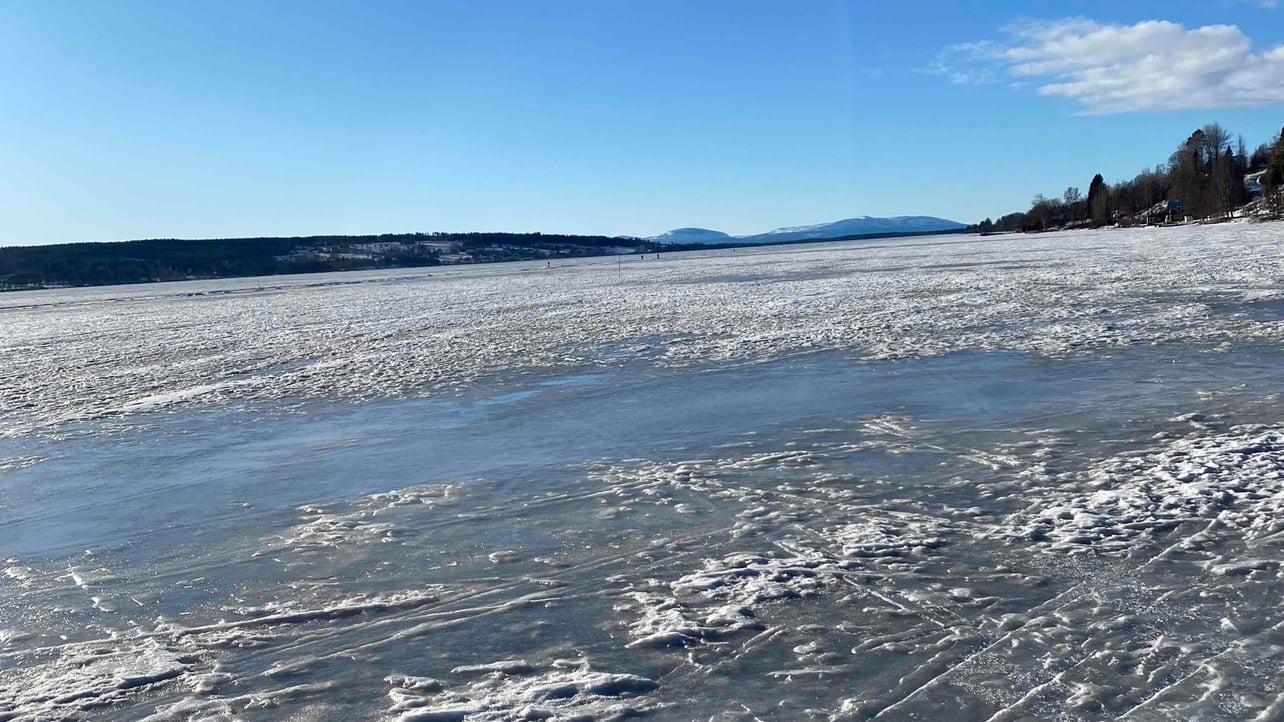 Liss (lissj) Farcaster social identity (Fname handle) PFP