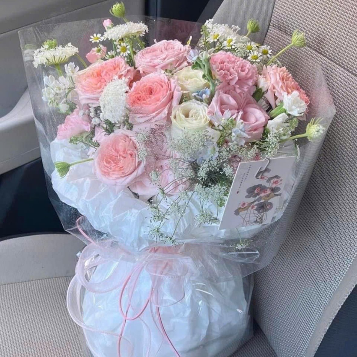 Tranmytranbeo.base.eth pfp