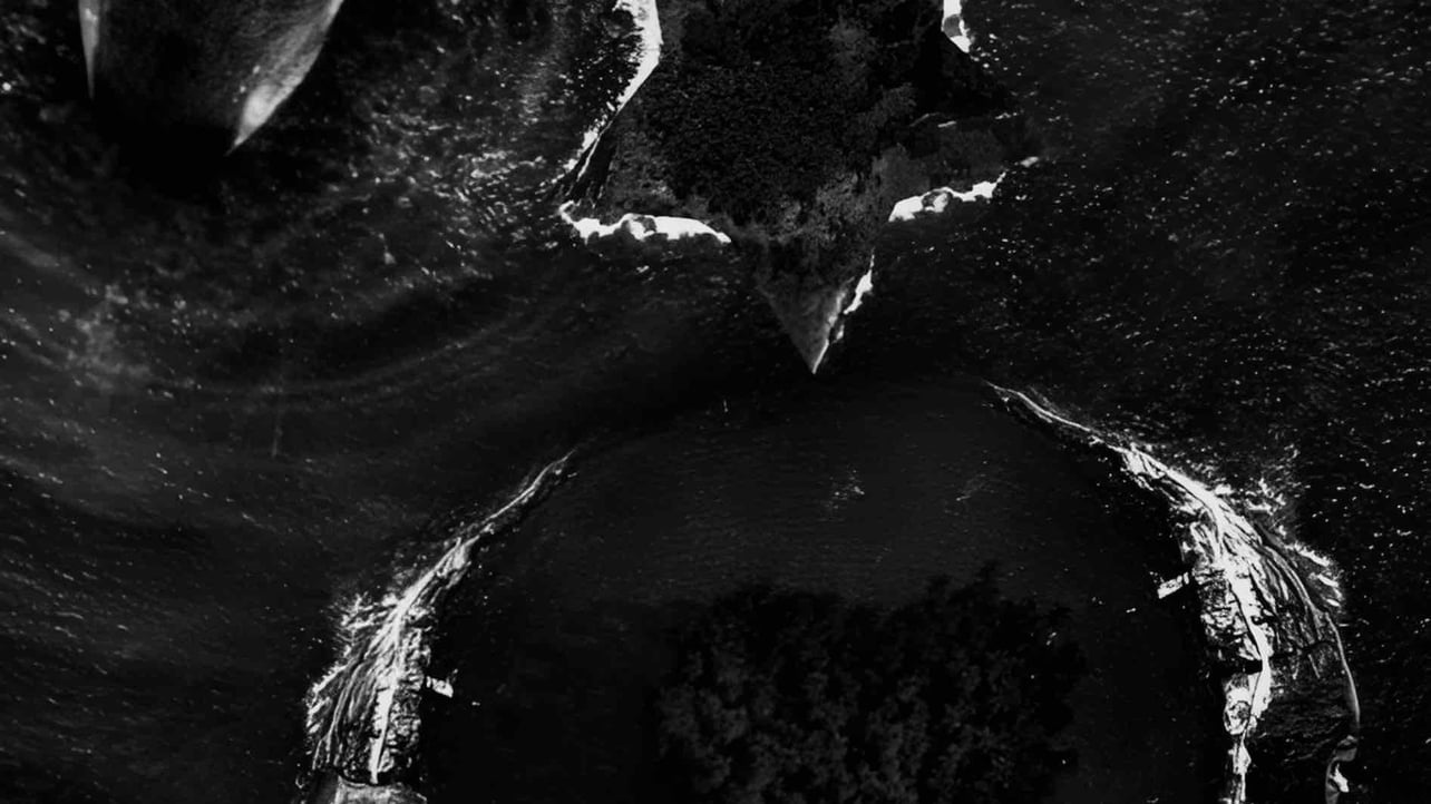 youngstar.lens Lens social identity (.lens handle) PFP