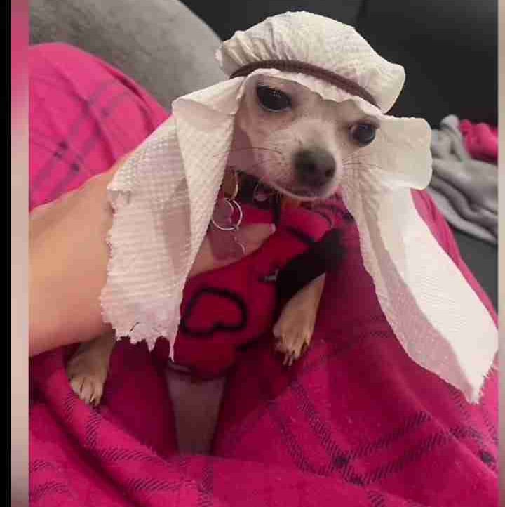 David16 (david16.lens) Lens social identity (.lens handle) PFP