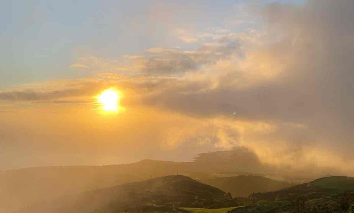 delo1.lens Lens social identity (.lens handle) PFP