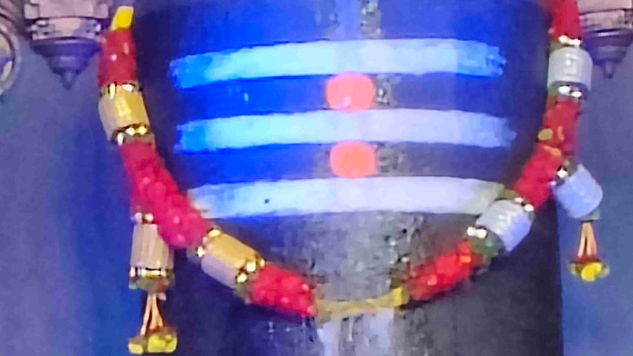 strikerrrr.lens Lens social identity (.lens handle) PFP