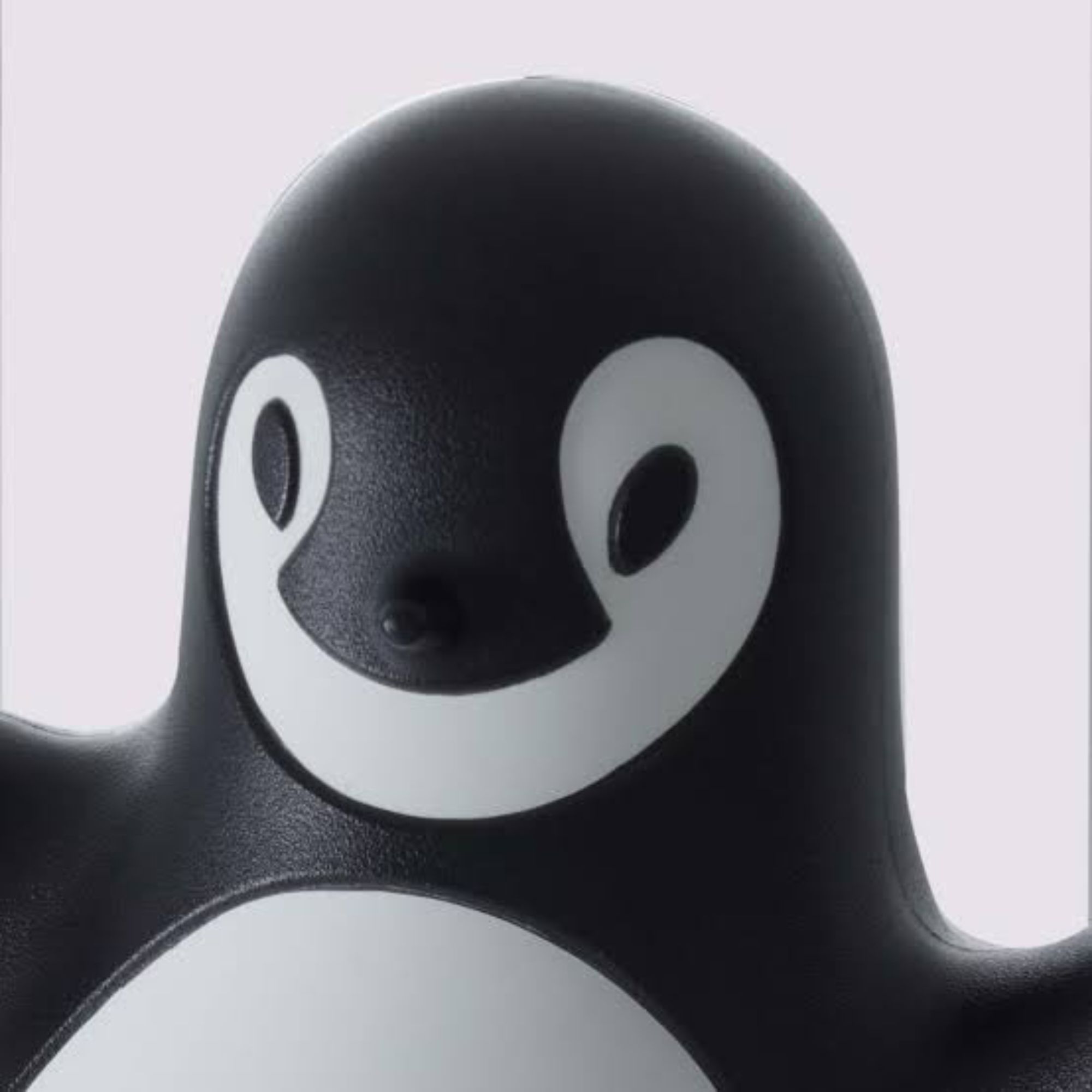 PINGY