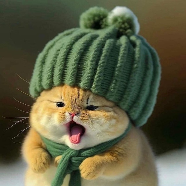 EmmanuelJayJay (emmydefi) Farcaster social identity (Fname handle) PFP