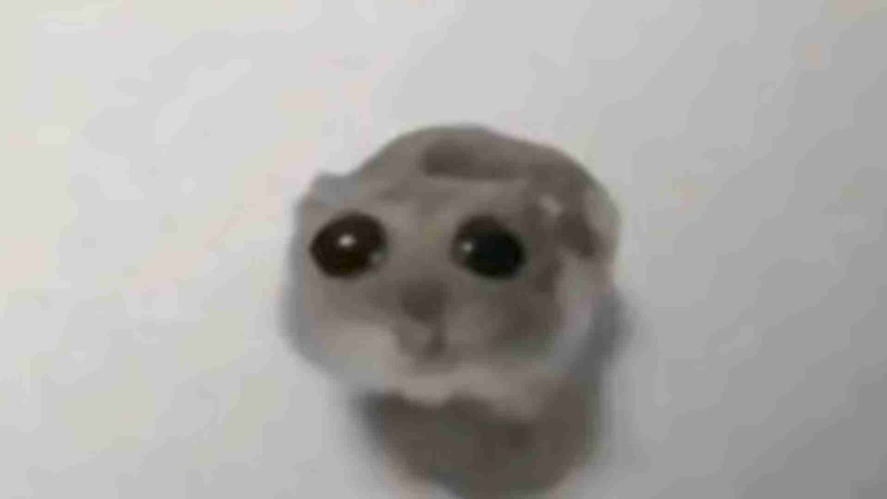 Ivan (vanyamaestro) Farcaster social identity (Fname handle) PFP