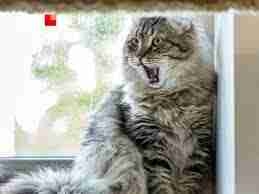 Roman (romankhomych) Farcaster social identity (Fname handle) PFP