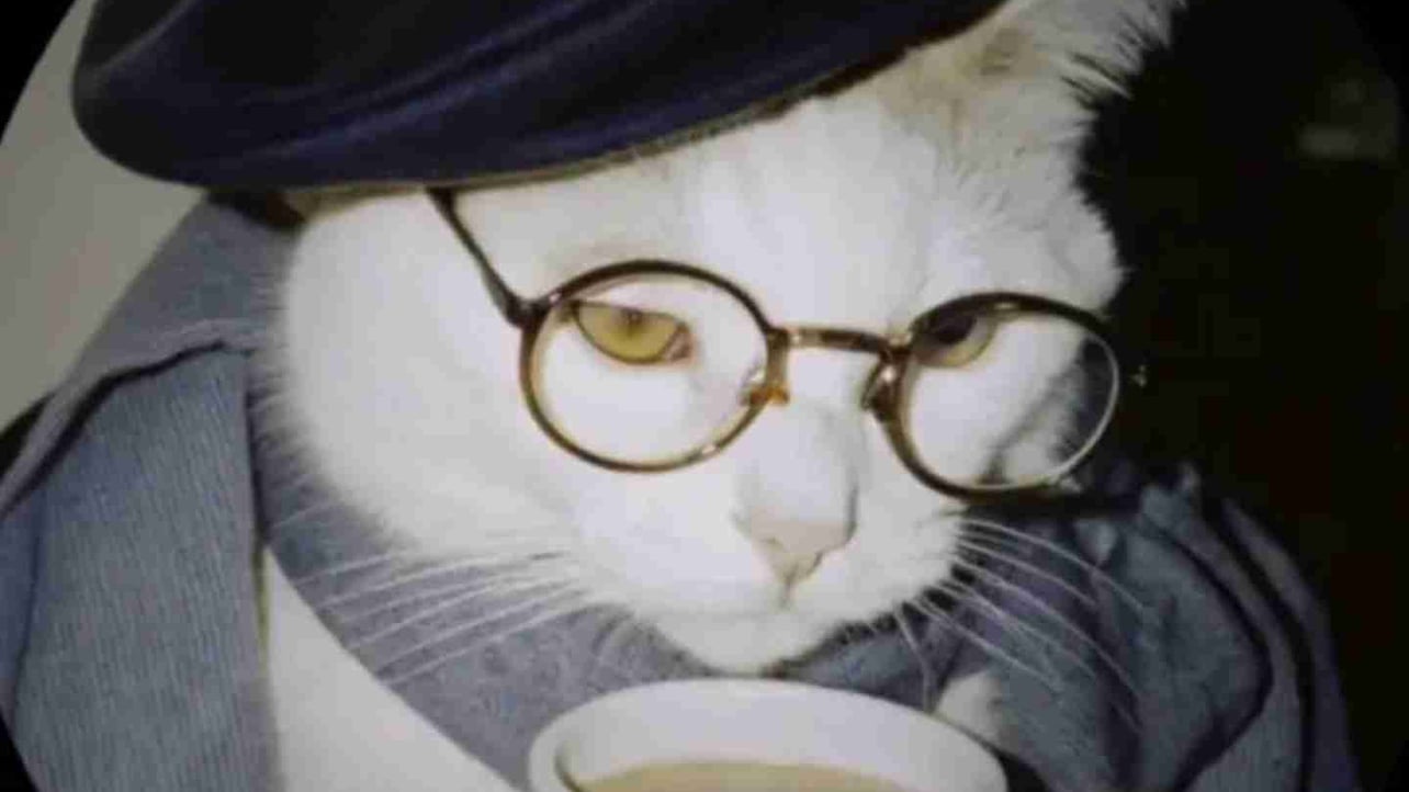 lechau09 Farcaster social identity (Fname handle) PFP