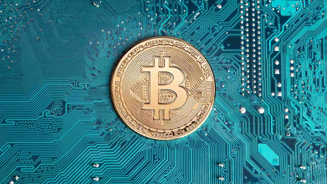 crypto_mickle pfp