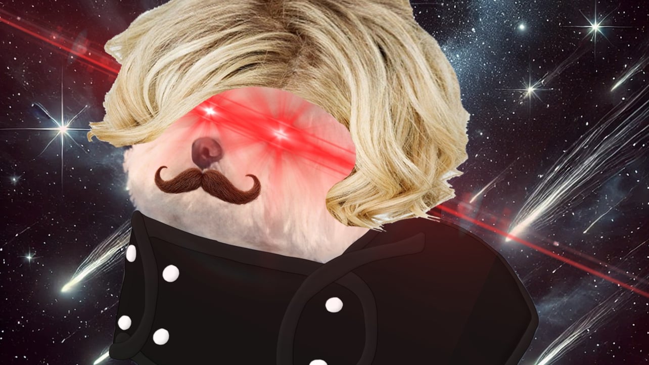 Kingston pfp