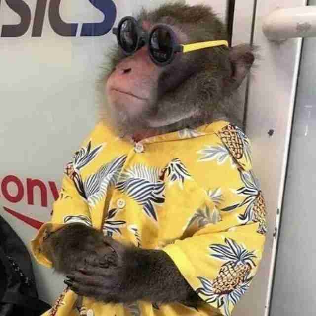 Alex (alex-1518) Farcaster social identity (Fname handle) PFP