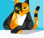 shituozheng185 pfp