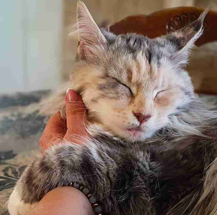 Kirsten Hope (llang) Farcaster social identity (Fname handle) PFP