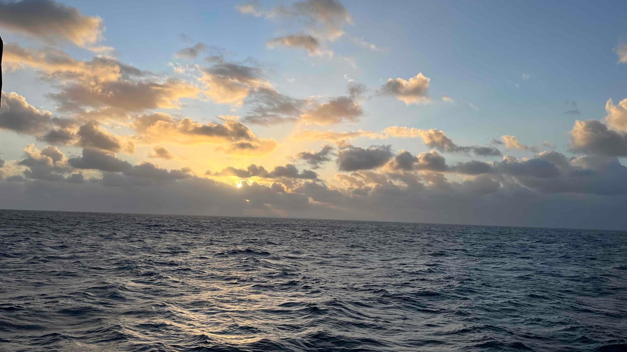 northwind.lens Lens social identity (.lens handle) PFP