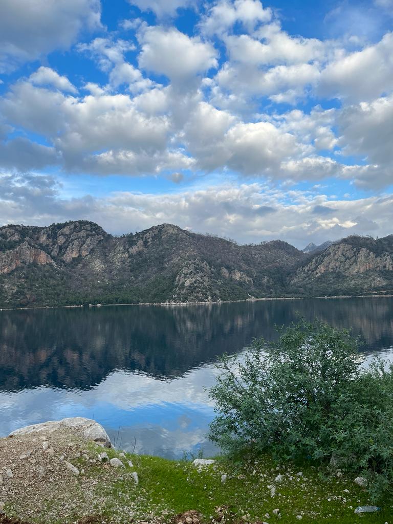 tr4ck3r.base.eth Basenames (.base.eth domains) based on ENS PFP