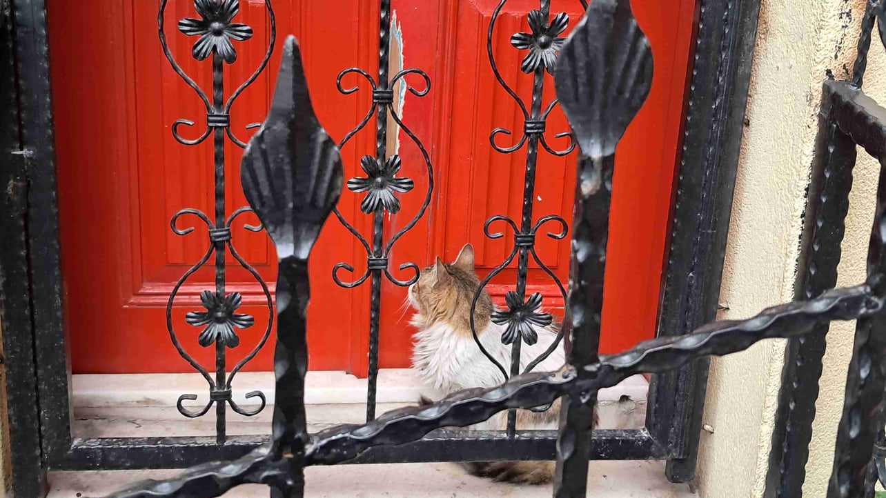 seb (dubistwmeister) Farcaster social identity (Fname handle) PFP