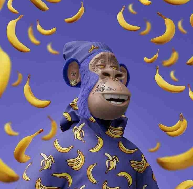 ronpary Farcaster social identity (Fname handle) PFP