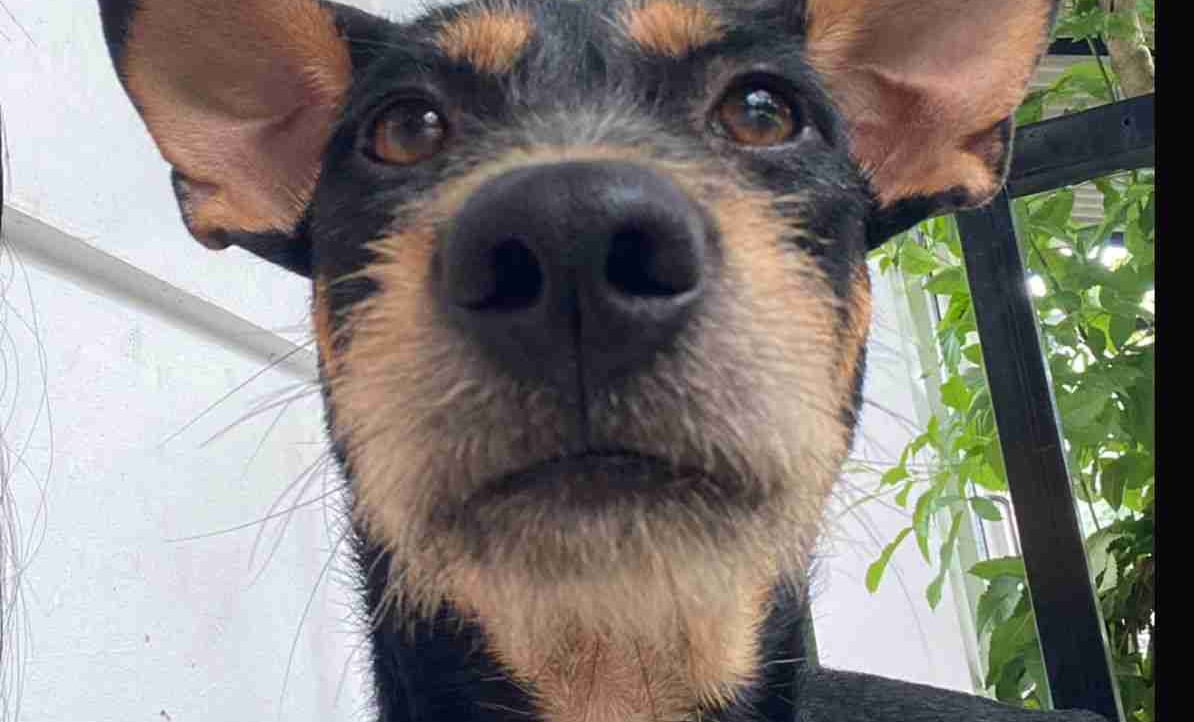 Maciej  (moonman33) Farcaster social identity (Fname handle) PFP