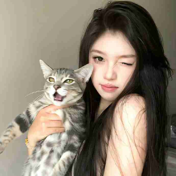 LeeQiQin6 pfp