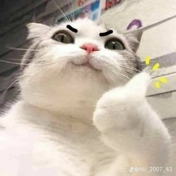 Phan Thanh Duy pfp