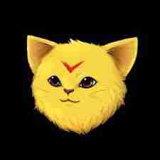 wildx5 (0xwild) Farcaster social identity (Fname handle) PFP