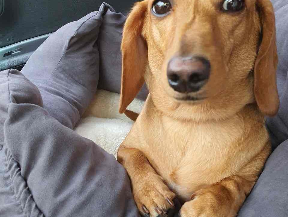 hjhjhj (hjhjhj.lens) Lens social identity (.lens handle) PFP