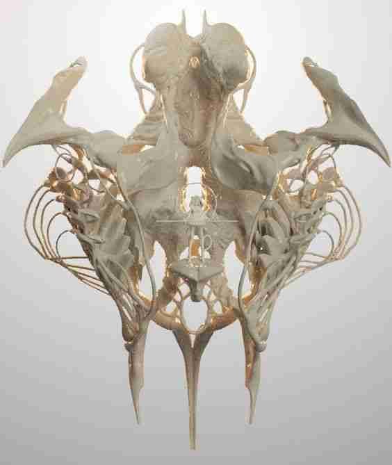 nurbolyessen.lens Lens social identity (.lens handle) PFP