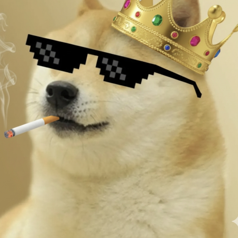 qcxint.base.eth 🎩 pfp