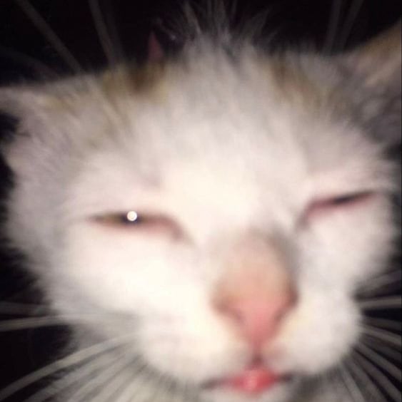 sigma00.base.eth (sigma00) Farcaster social identity (Fname handle) PFP