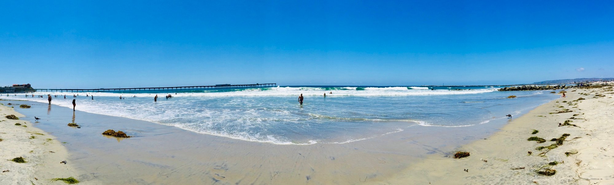 Embed from @bigtone.eth