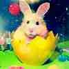Campyleen655 pfp
