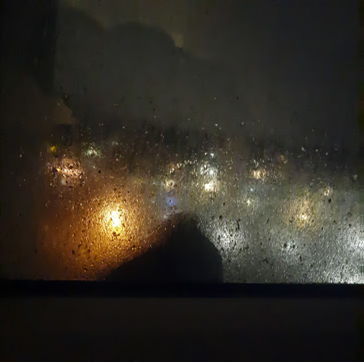 Pigeon in Rain 2
