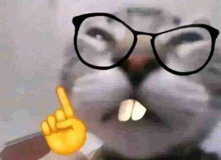 sukakka.lens Lens social identity (.lens handle) PFP