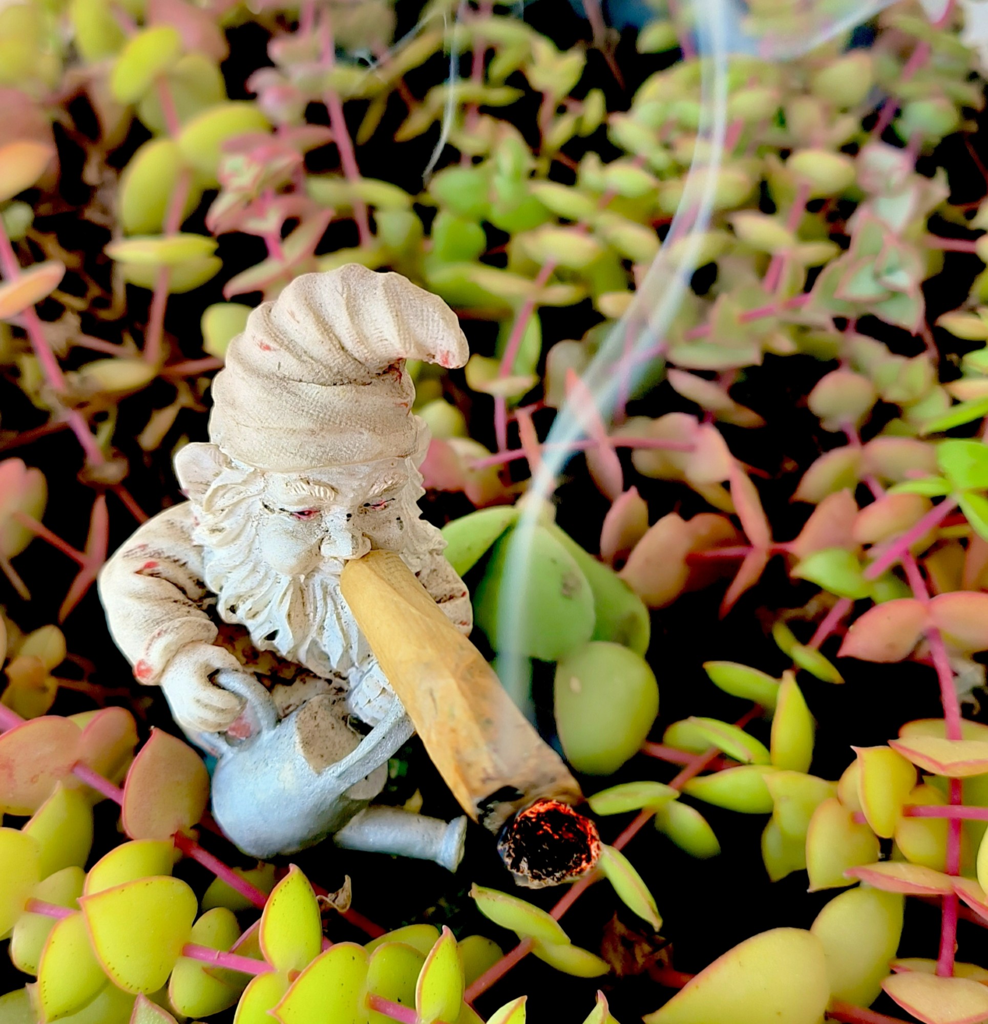 Hignome