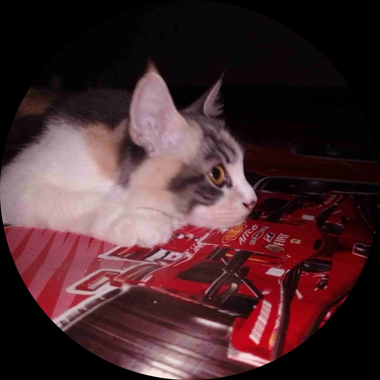 Dede's Farcaster avatar