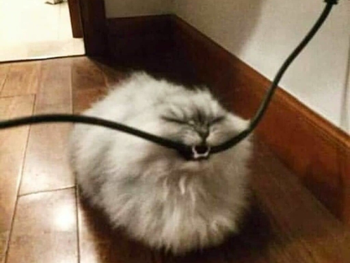 c3ffee.eth Ethereum Name Service (ENS and .eth domain) PFP