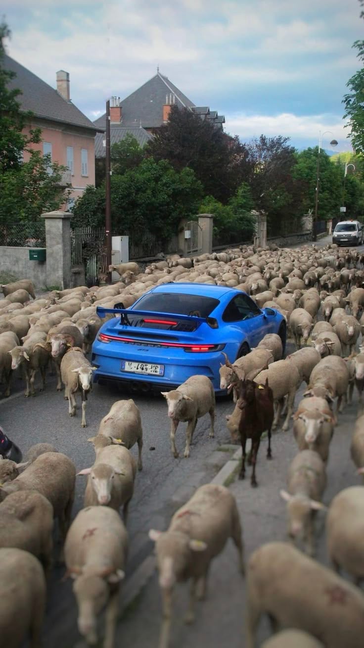 erik (erik12) Farcaster social identity (Fname handle) PFP