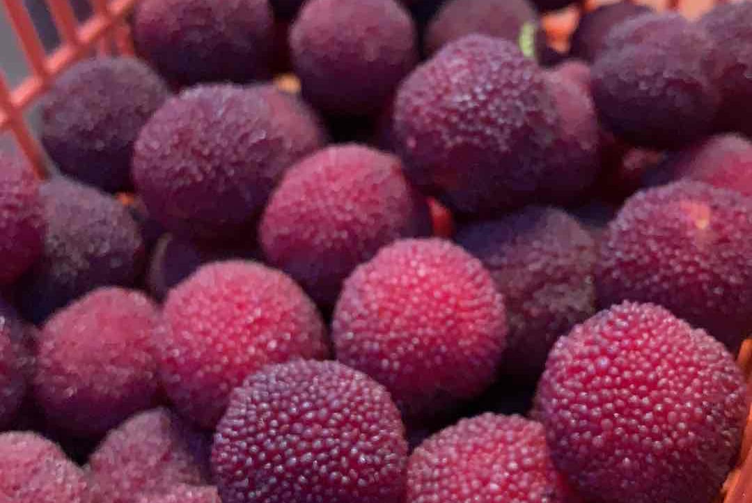 Really (nqr) Farcaster social identity (Fname handle) PFP