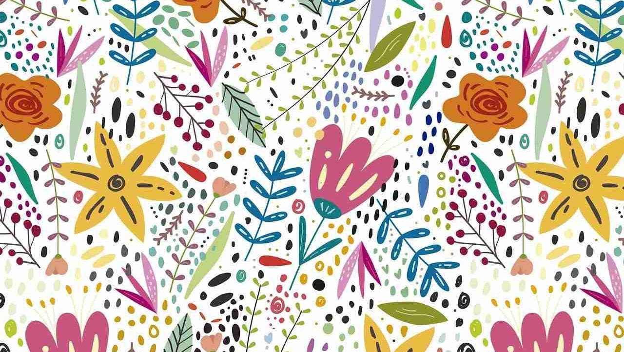 Calfornian (veronisenna) Farcaster social identity (Fname handle) PFP