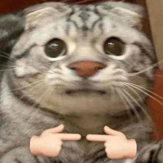 xaniety (ace90.lens) Lens social identity (.lens handle) PFP