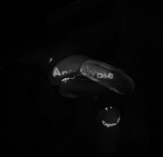 Stygian Magician π pfp