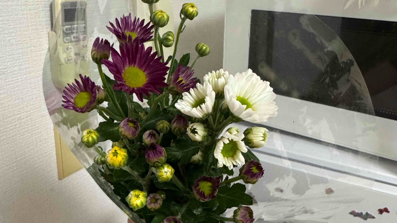 hunter7.lens Lens social identity (.lens handle) PFP