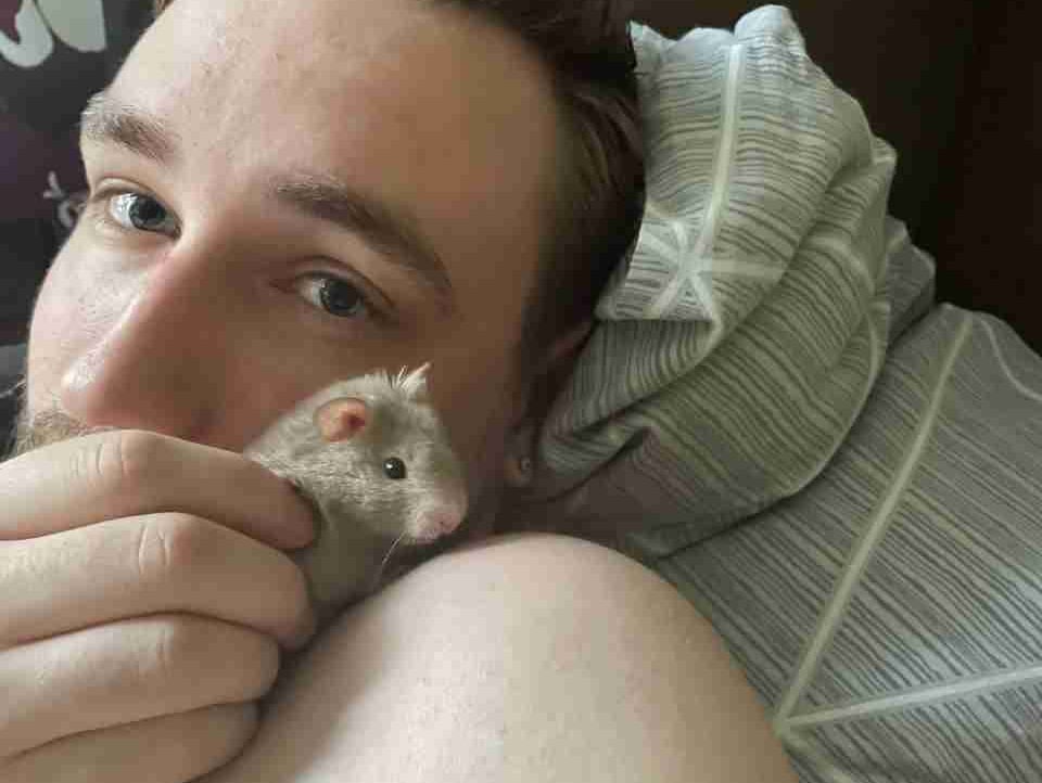 Konstantin Volik (konstantinvolik) Farcaster social identity (Fname handle) PFP