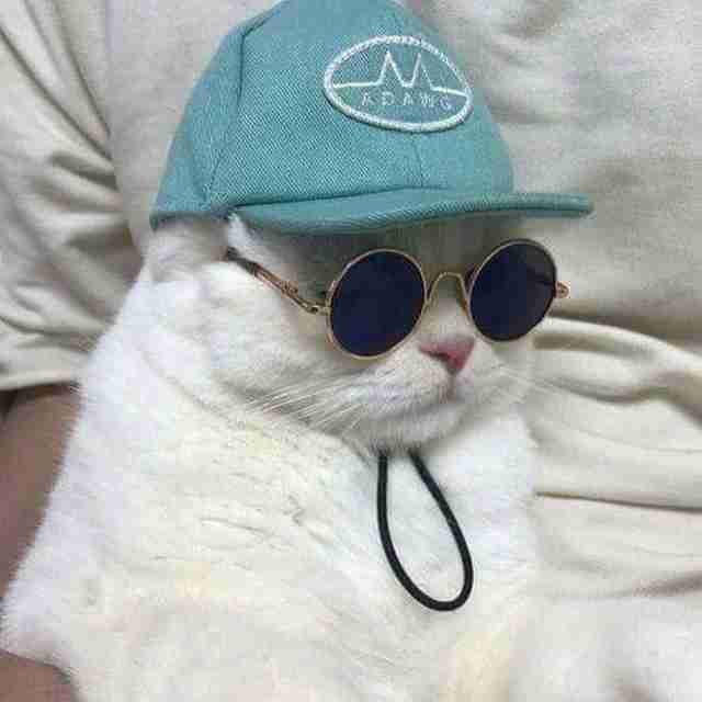 The Ace pfp