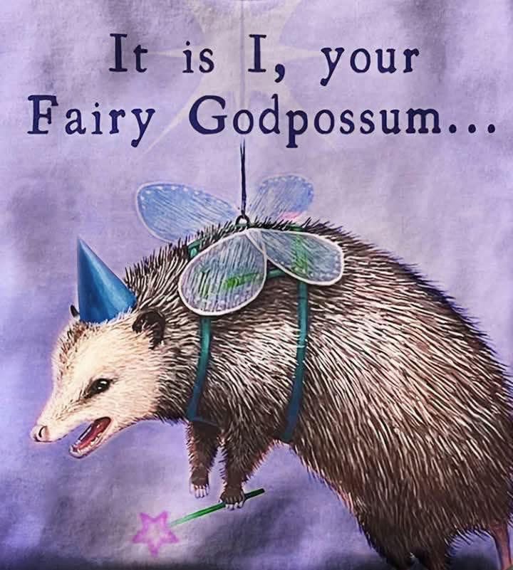 Fairy Godpossun