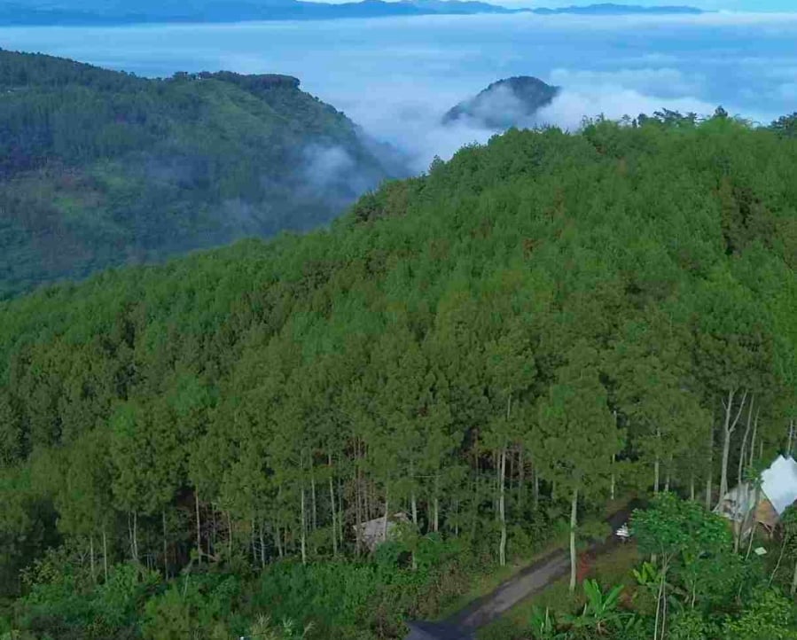 Cfropa (cfropa) Farcaster social identity (Fname handle) PFP