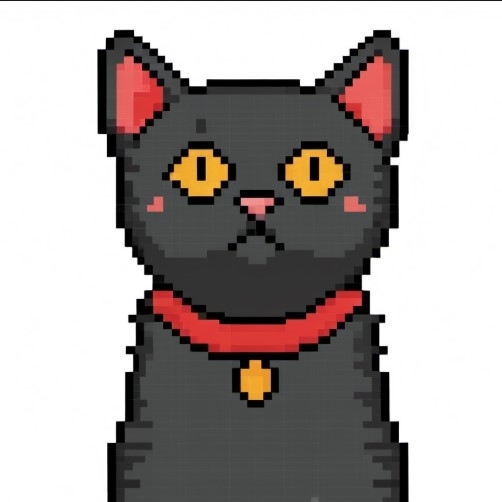 qooco995's Farcaster avatar
