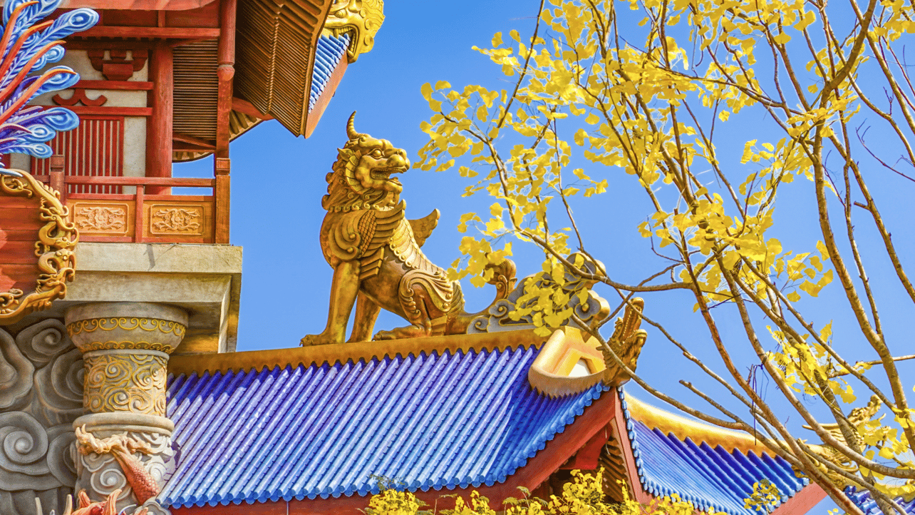 566 (9887) Farcaster social identity (Fname handle) PFP